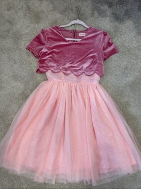 Ivy City Co Pink Velvet & Light Pink Tulle Party Dress